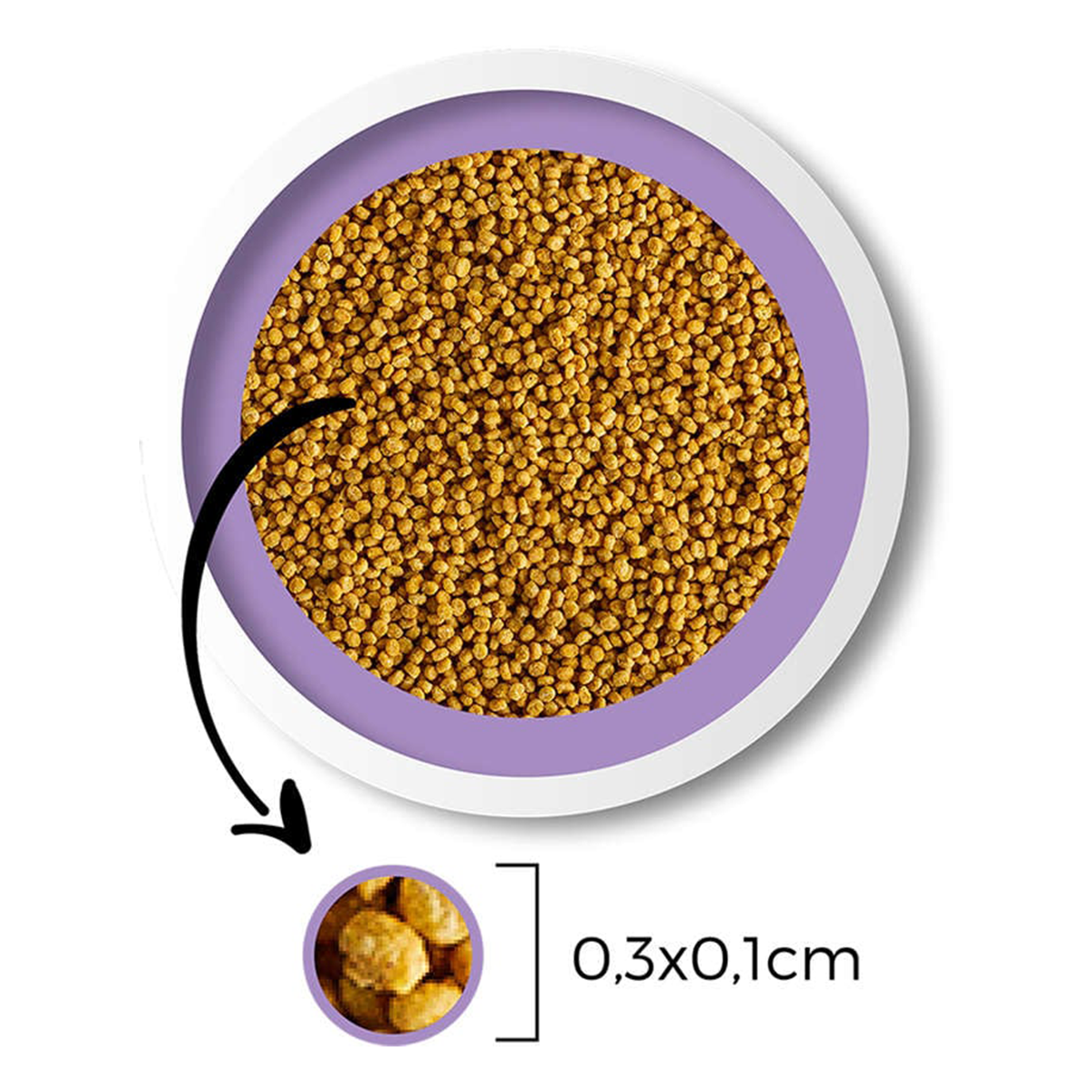 image_c98802b0-ae7c-4799-ba62-831c5d85bea7