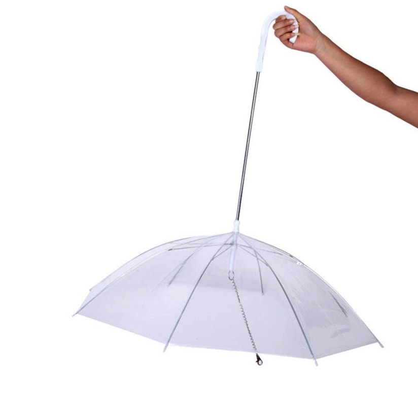 Product main image - c6e3d234-7a1e-4a81-9e35-4a0fbb47342d