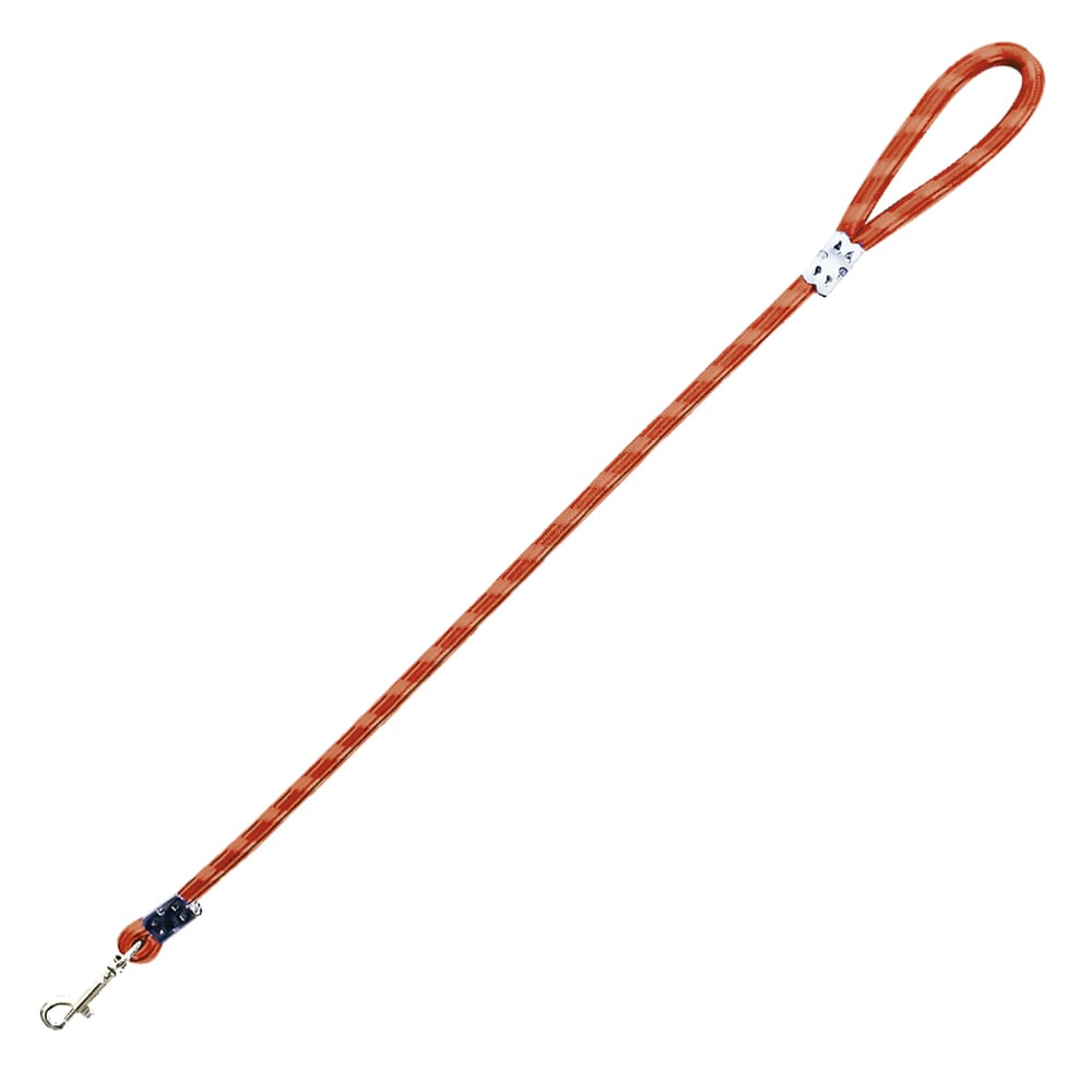 image_35c7db43-3dc1-4a85-b5e0-e3740b9639cb