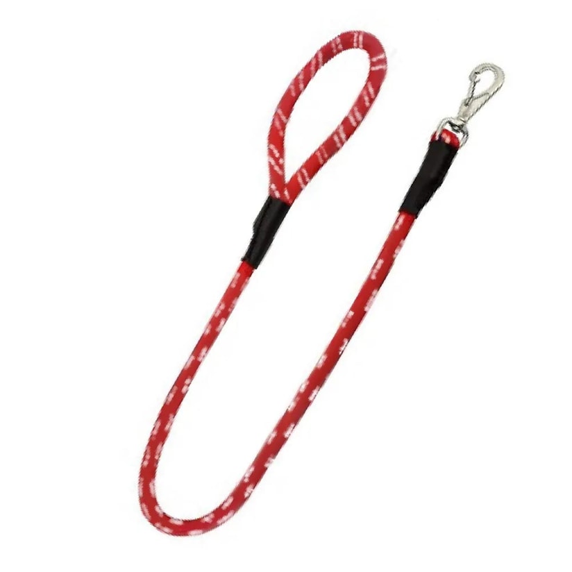 Product main image - e38a06c6-2978-4955-90a7-cadfdf7247f0