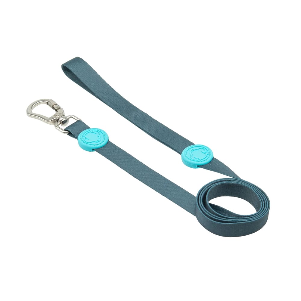 image_1c31170c-4ae0-4ab5-b9b3-c9140b8a86f3