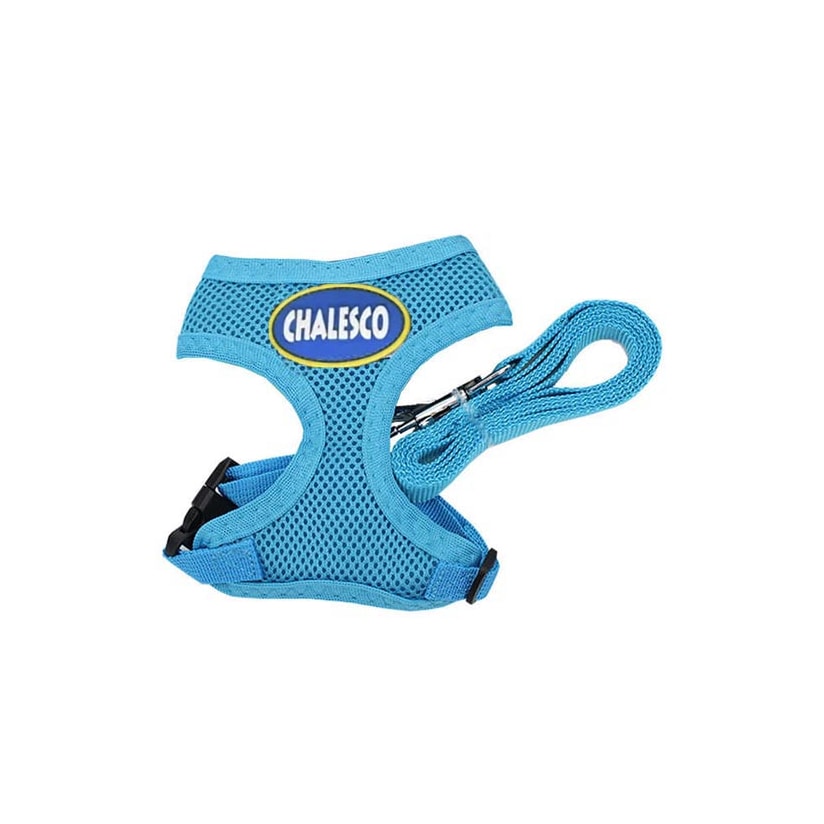 Product main image - e806fdc2-146d-485c-b517-696ade4fe70a