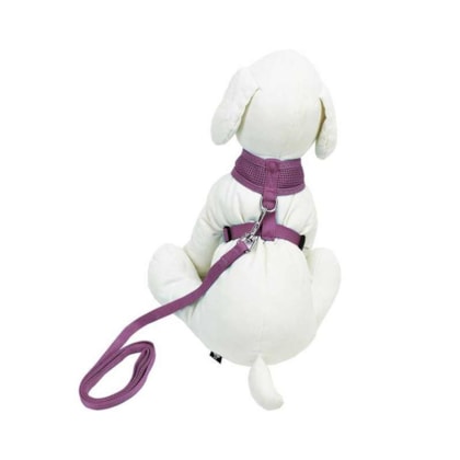 image_f72747fe-c76c-4513-95e3-46bfd31783bf