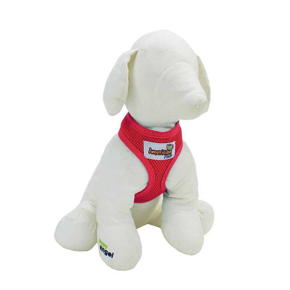 image_5295c04b-b004-4d87-b594-953df7ca787d