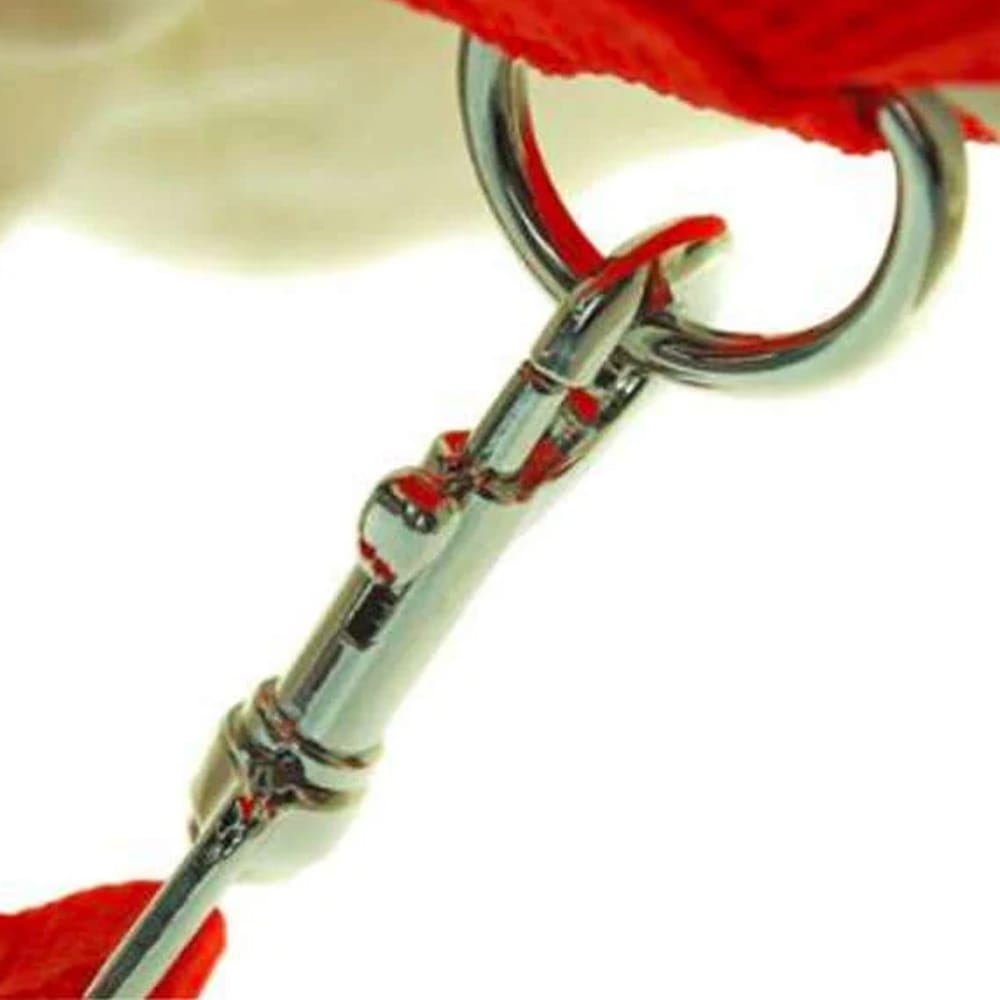 image_0dae62d9-6874-452c-a12a-db1b929ec928