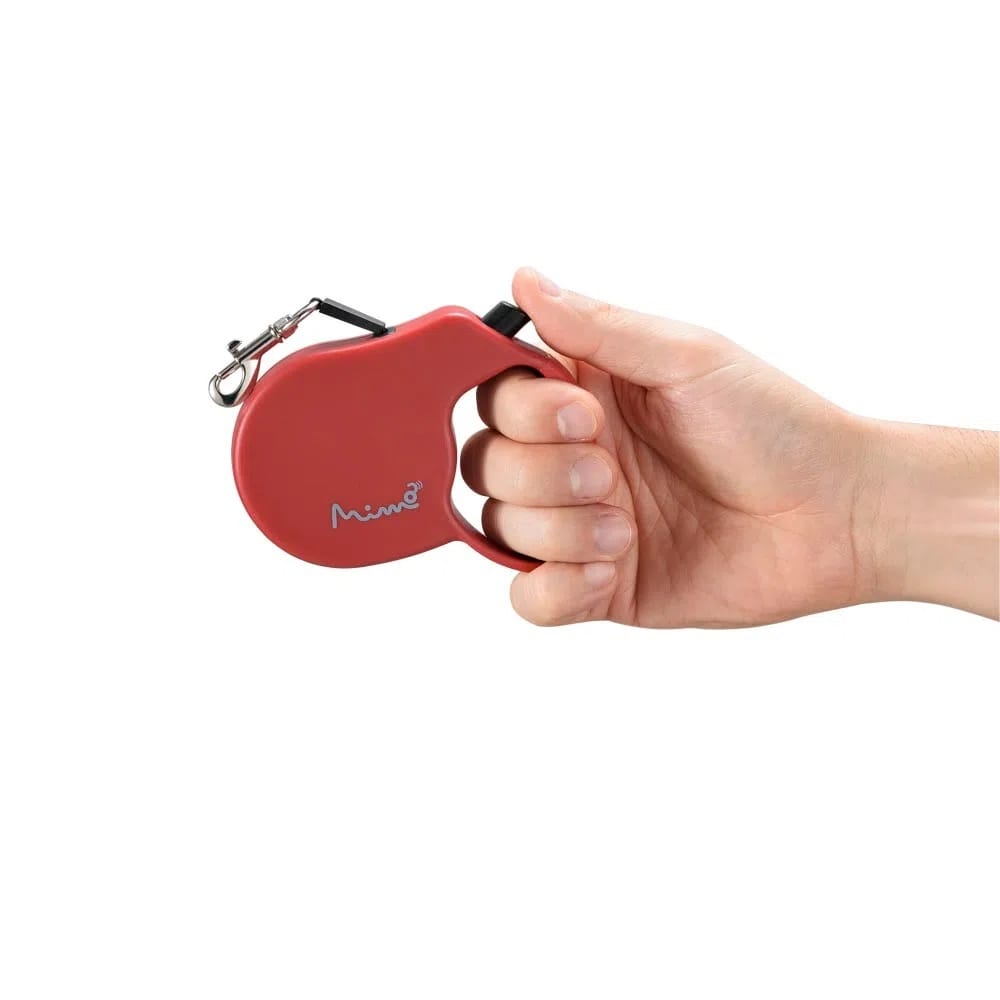 image_a3235af2-d4a3-46a0-8a2e-babc8db46261