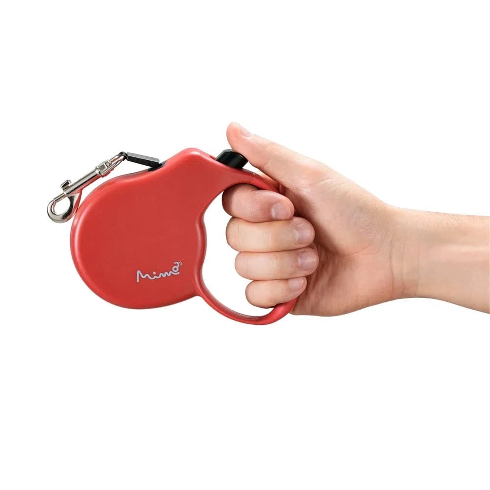 image_9b047a11-96d7-4b58-9d74-663b047777cc