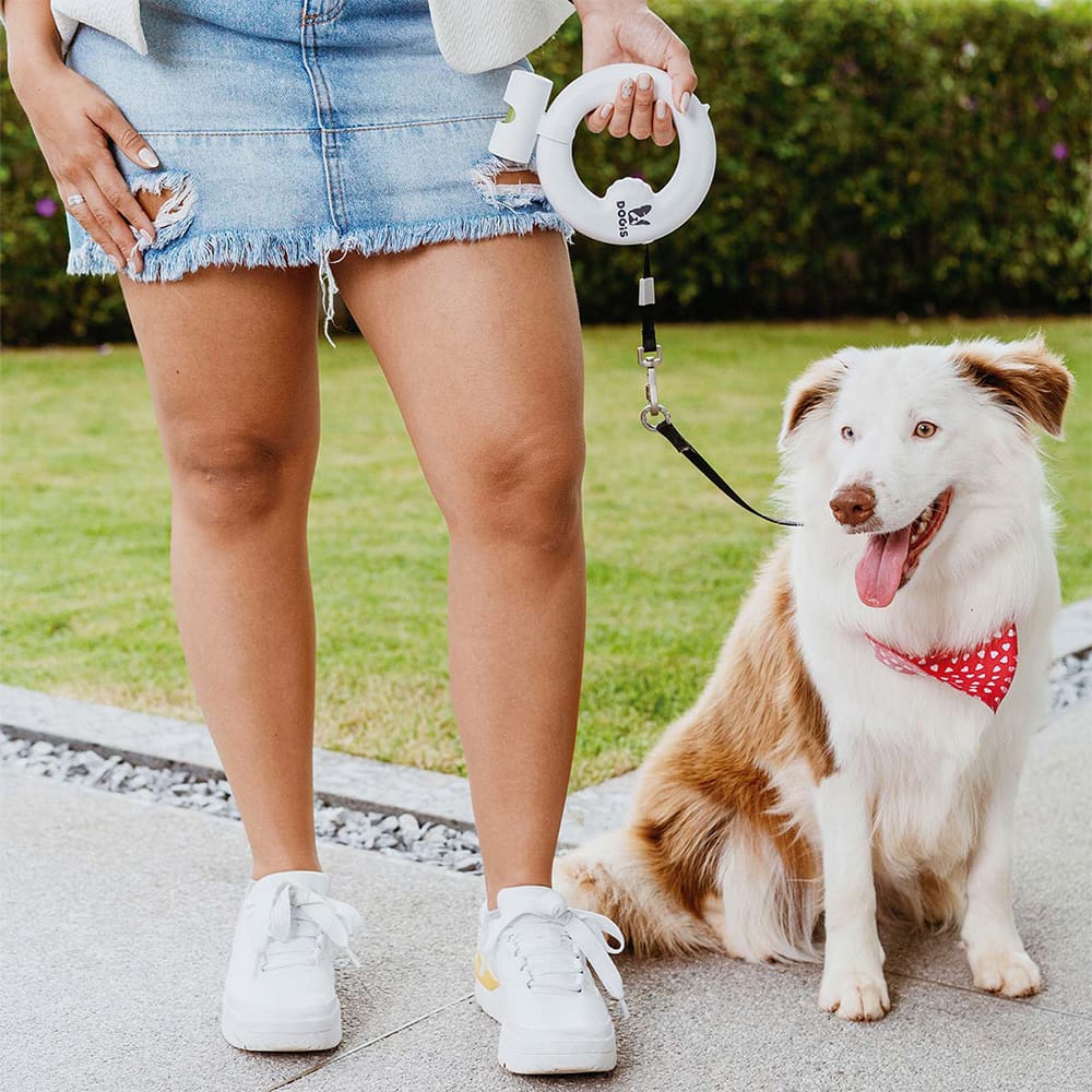 image_32778f1b-8015-43a0-8fb8-9c6c5a3aeab2