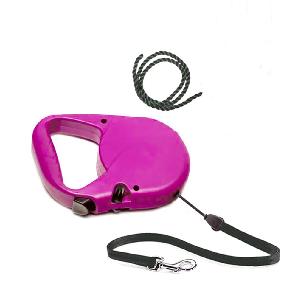 image_ed840ac8-f637-4404-be93-89fd62b6ef3b