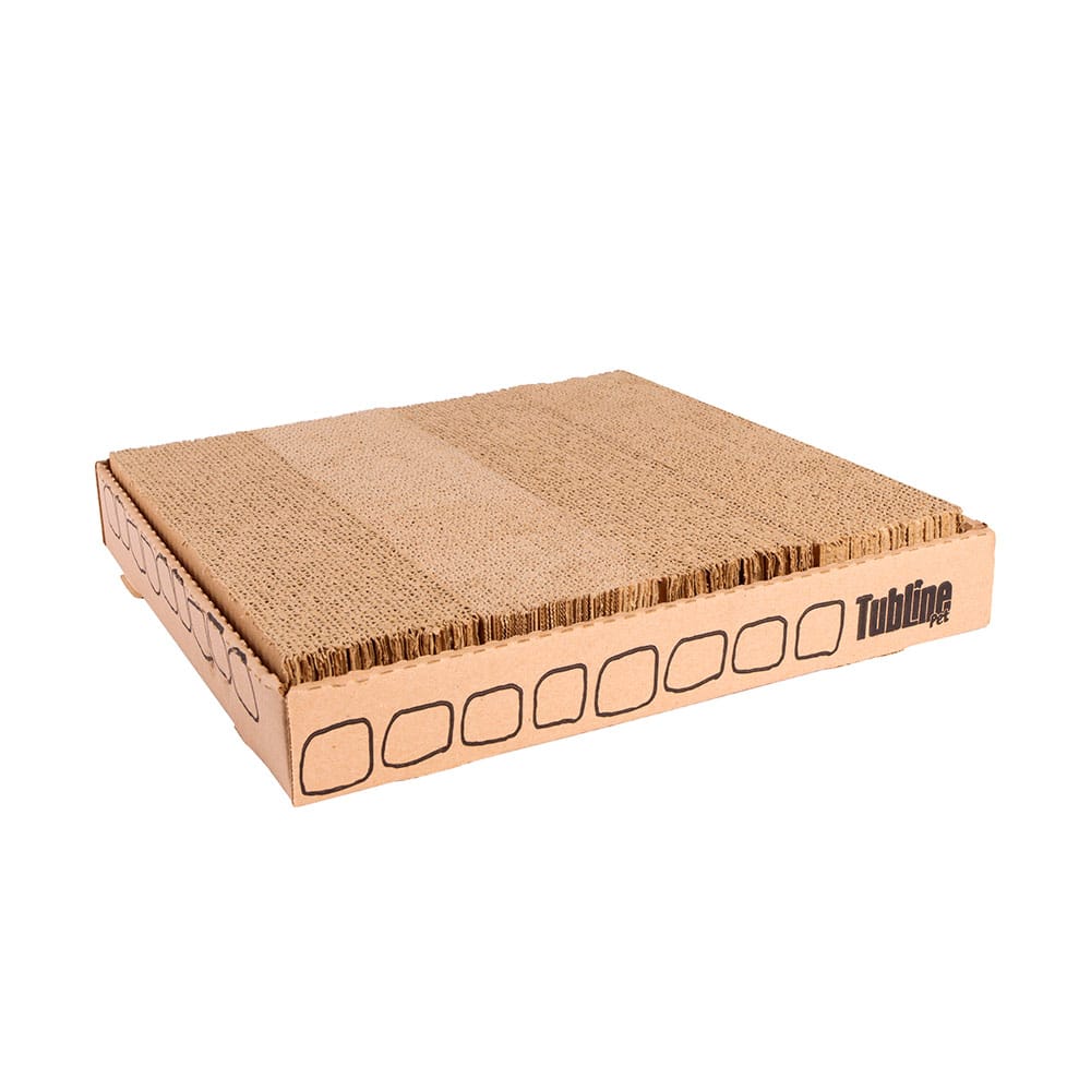 image_78927919-11c1-42d6-9ece-b48669cb2f94