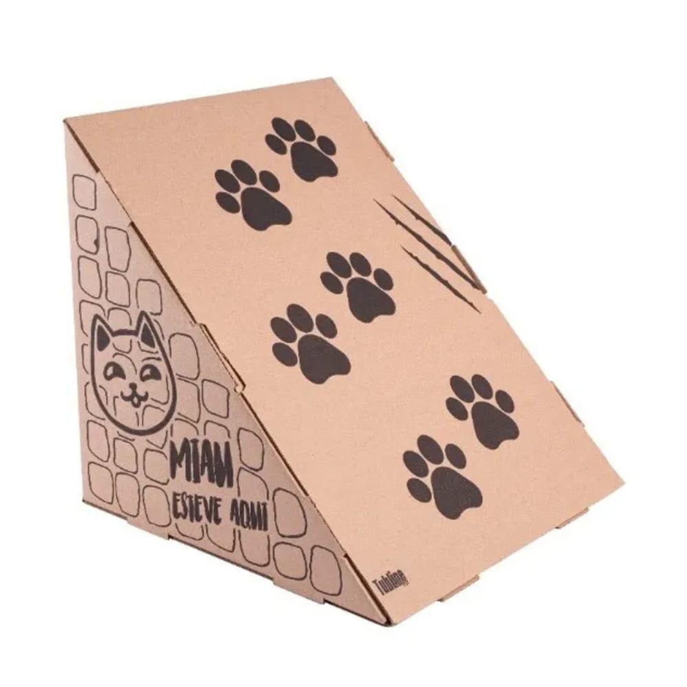 image_b8112172-92bf-4fa8-8e79-7ca23401d402