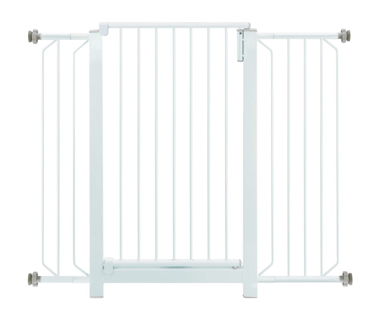 image_55e8d4d0-d037-4405-9641-9436bbf5c9e4