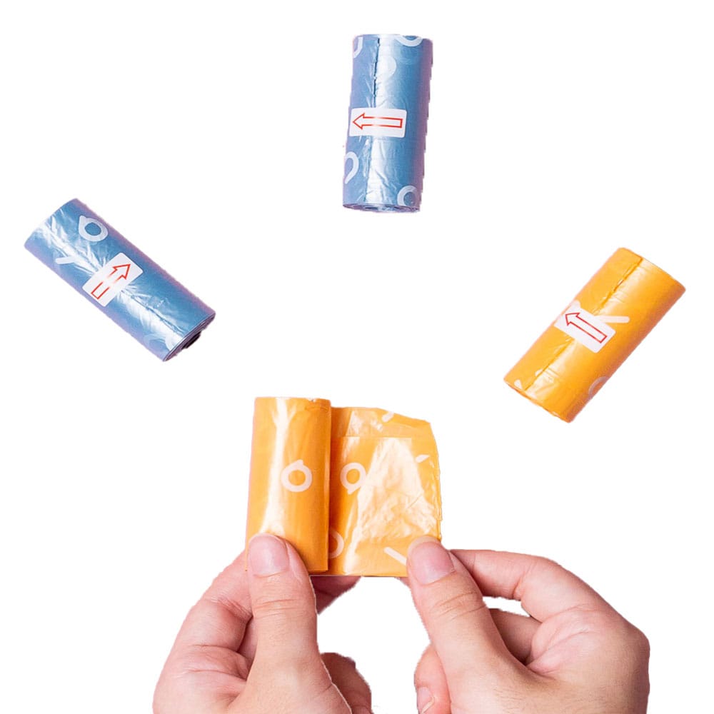 image_950de747-cefc-4879-afa2-a504f214ab8a