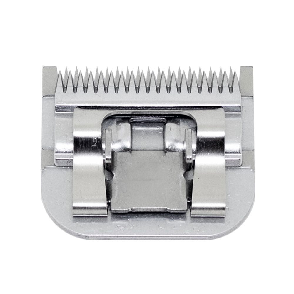 image_4e09ff55-3b38-40ed-aa97-d4586bc93cb9