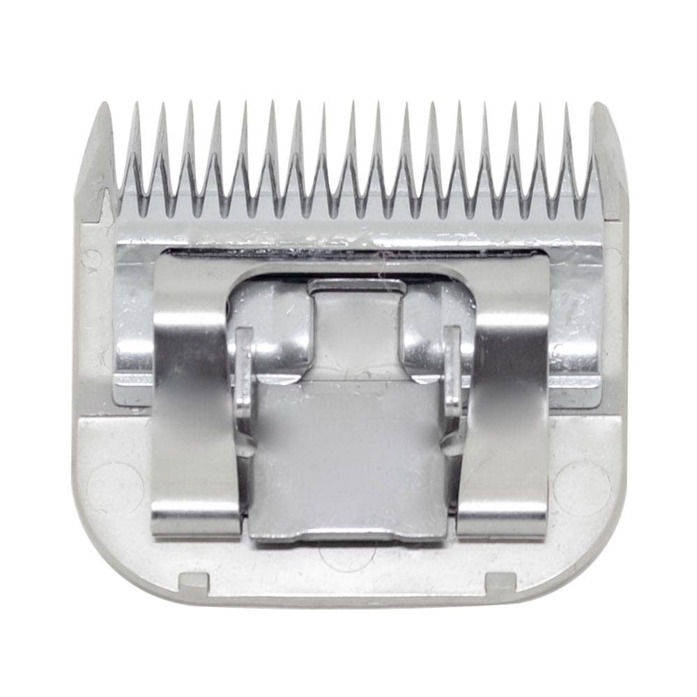 image_87506569-17bb-44de-a1f2-0da2d4a01824