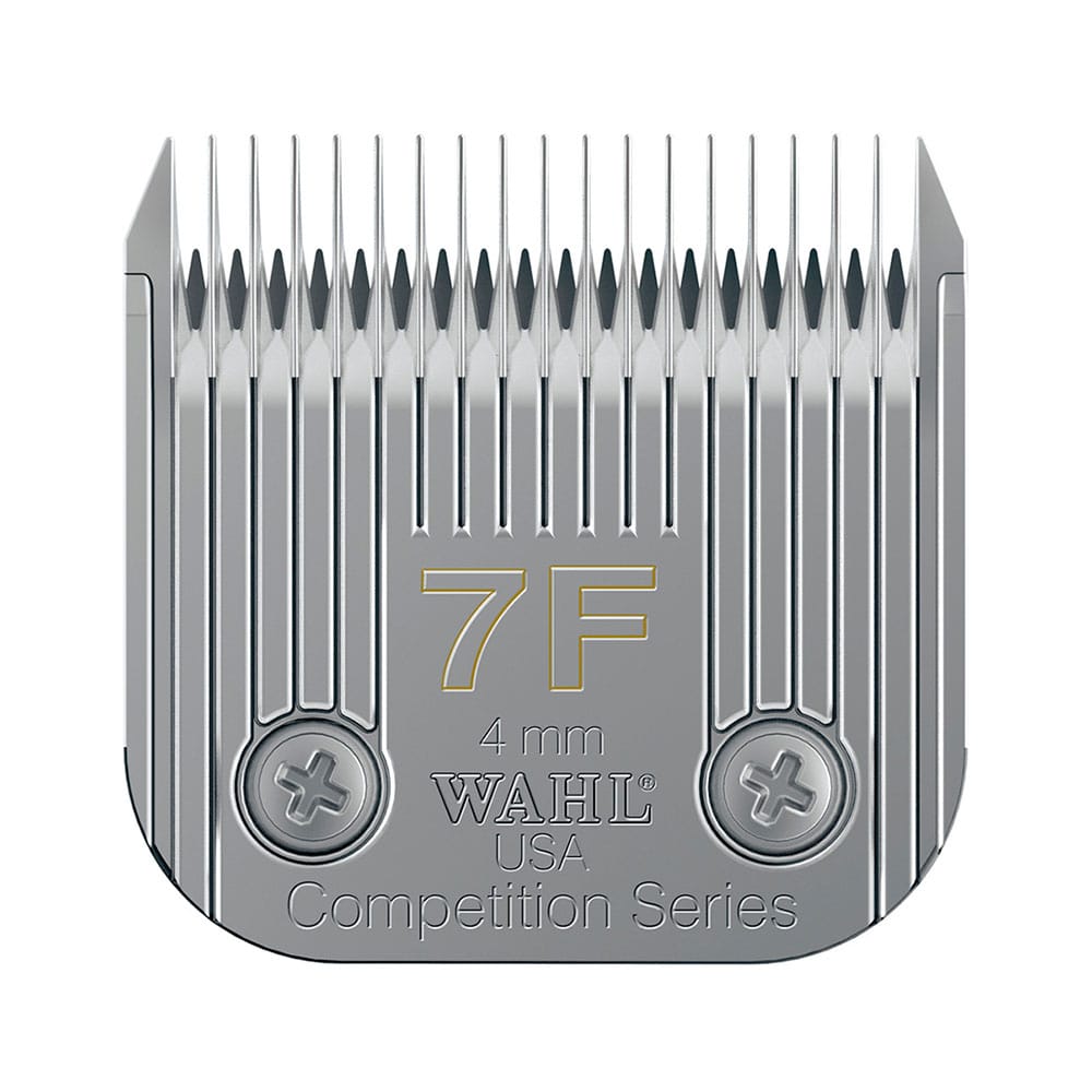 image_f2466d47-12d3-498d-acd6-3ecbf1c1c2d3