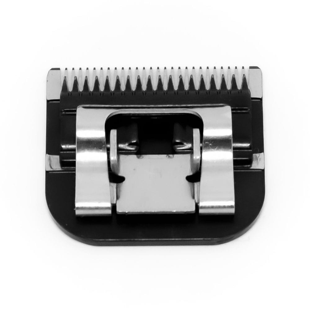 image_1f72a1aa-0943-4918-81b4-8cb700dd3069