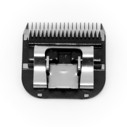 image_48213f2e-341e-4f07-aa46-1f9018294300