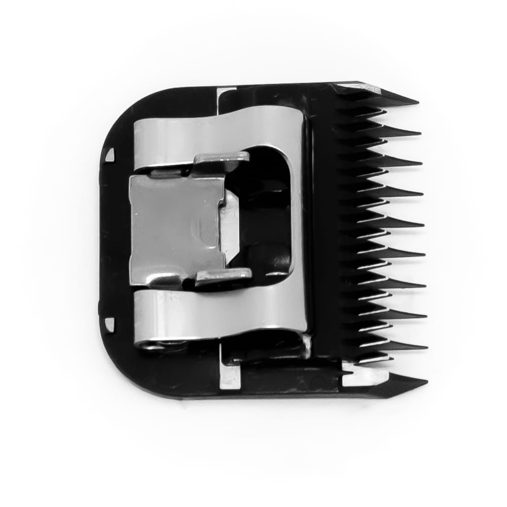 image_bd96ce74-44a9-4426-bf8d-56e71cca0d7b