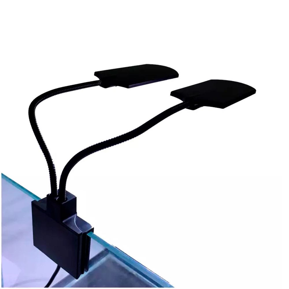 image_fe0e8b31-3341-4ec6-af82-dd1114a8cf8b