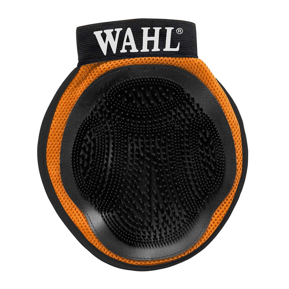 image_1d035950-3e61-4961-bbbd-6215fd9887d8