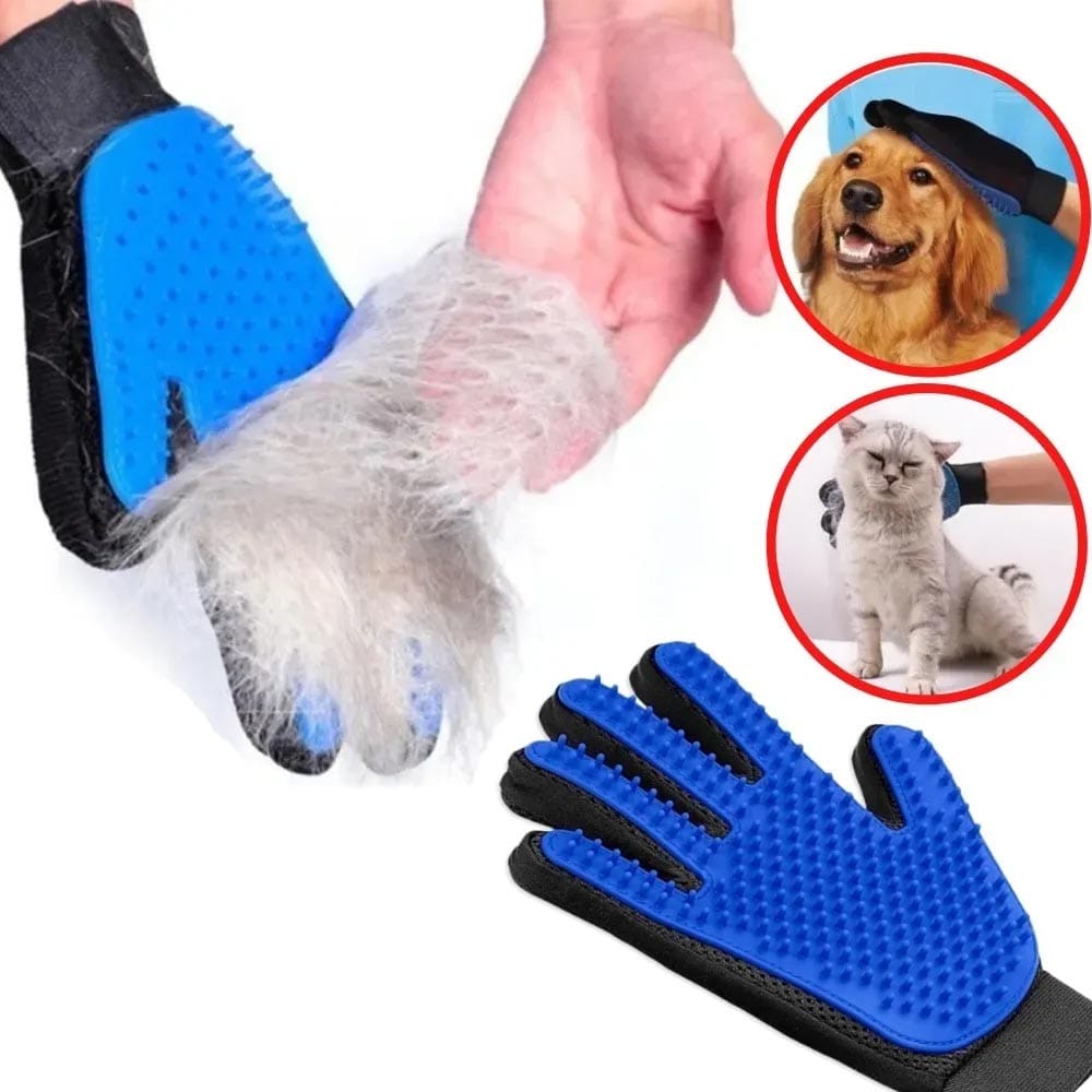 image_bc0fb06b-e61e-4147-83bb-9630d24da745