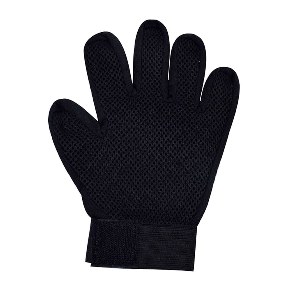 image_397c21ac-9677-43f7-b78c-bc168a41813a