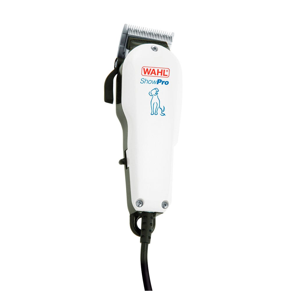 image_43b0bb76-1812-49ba-b066-ddec08a284f0