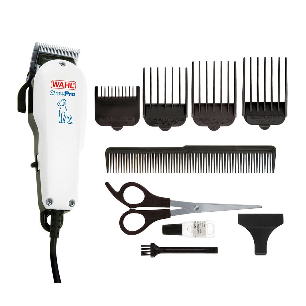 image_ace004ae-92a4-4765-950e-522fa490706a