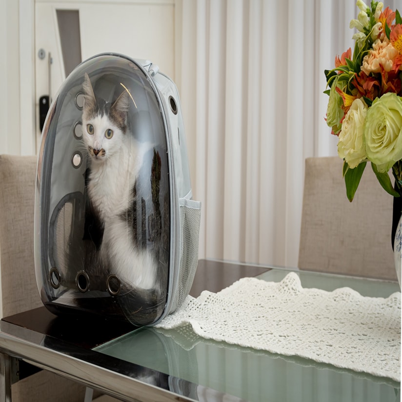 Product main image - 5b97b5af-0d99-4f6c-bcb8-d95b147133d3