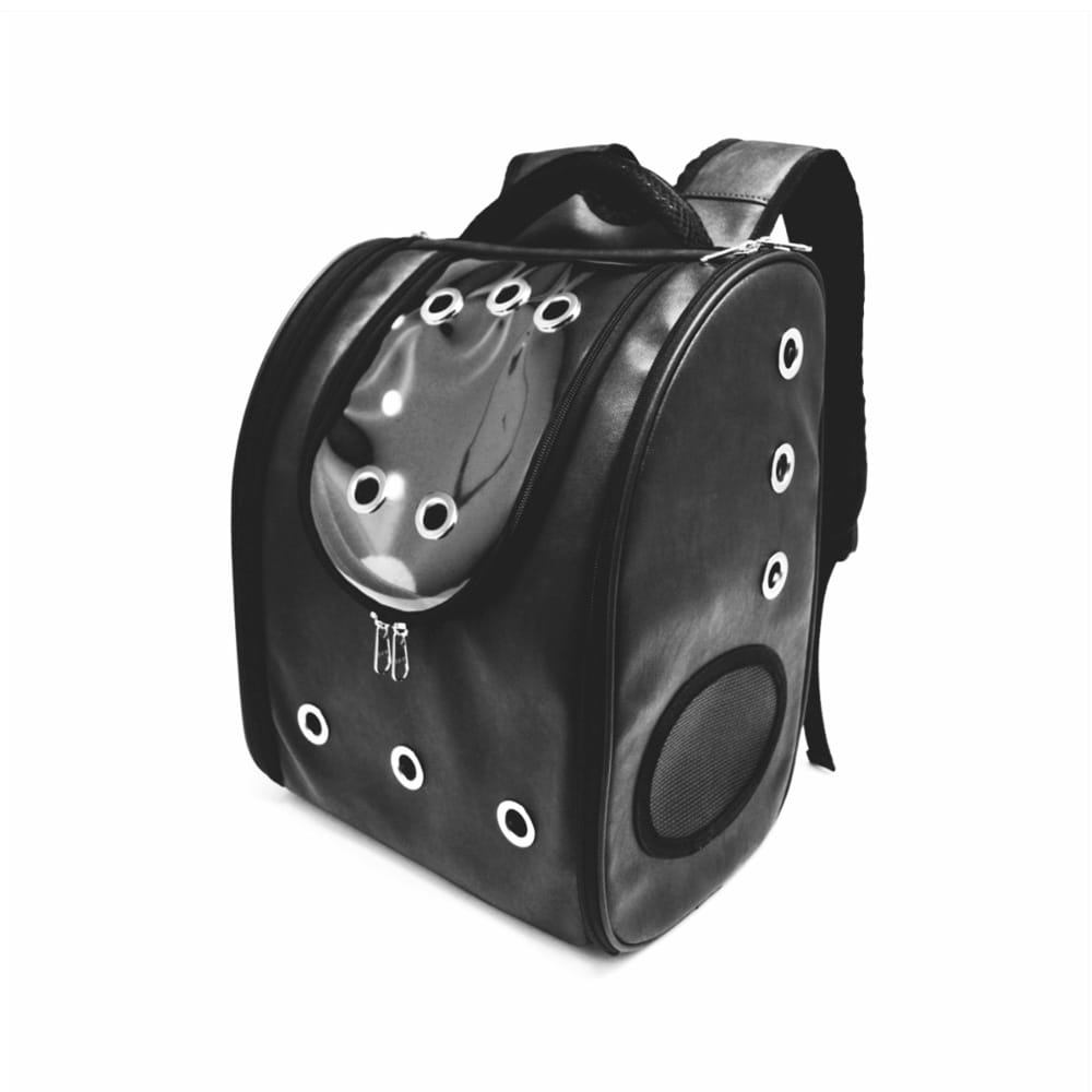 image_442d5f83-c1fc-43c8-b136-88eb2008bbb8