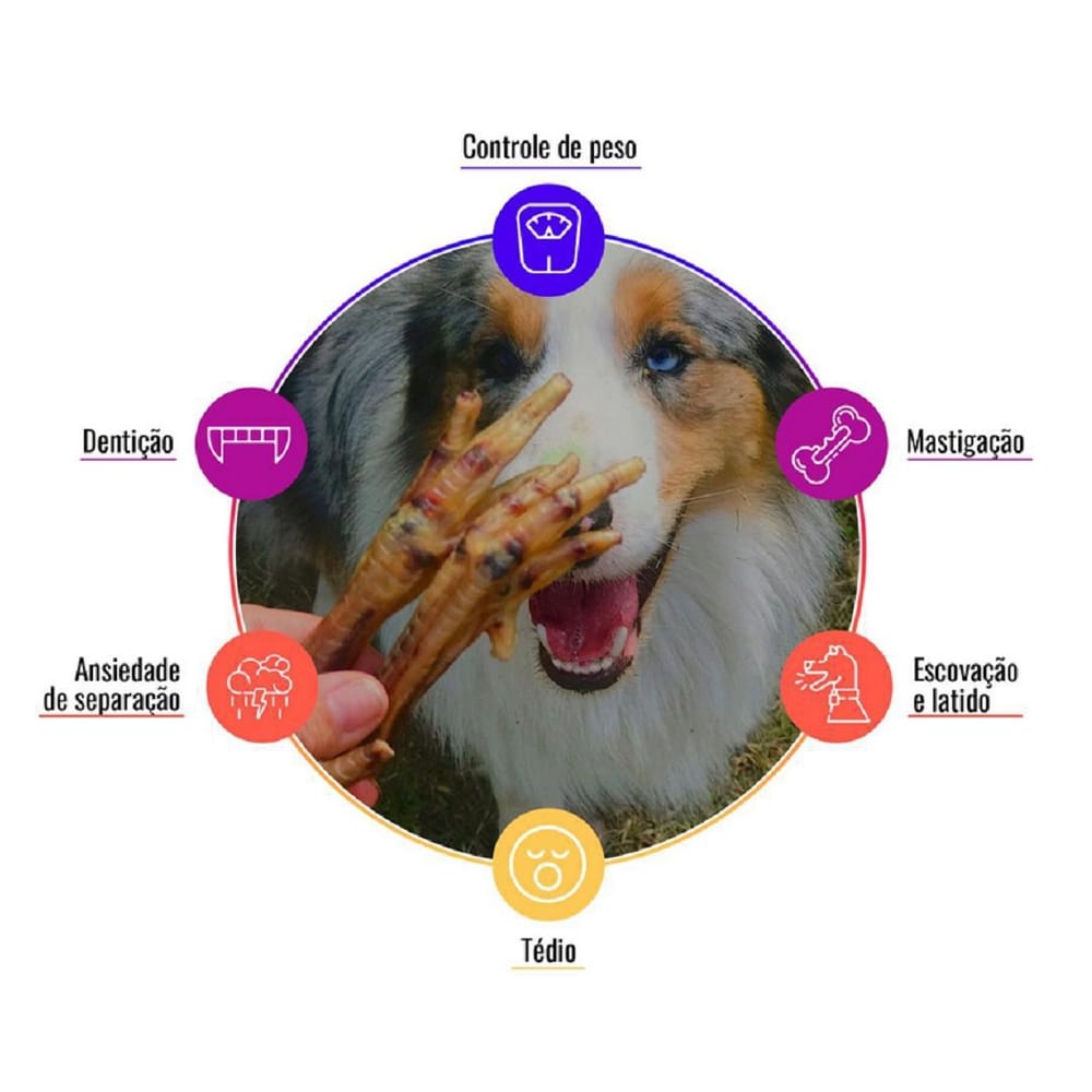 image_3eaef066-8047-4685-b14c-62d56dac850c