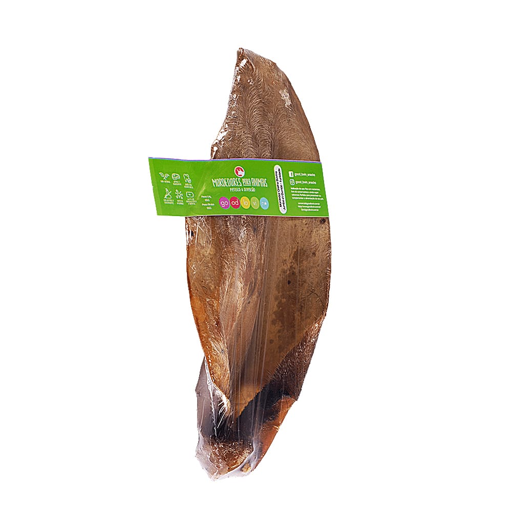 image_653b521e-a316-410c-848d-a73d406f4b66