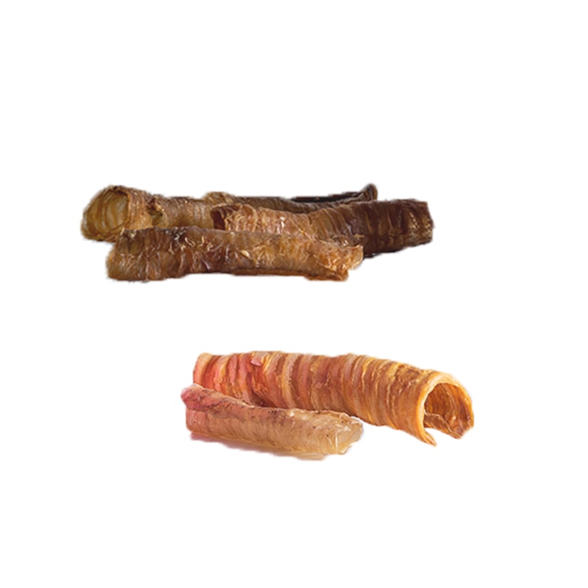 Product main image - 4e18ec7a-f7c4-4b65-b1cf-23d4288ab60c