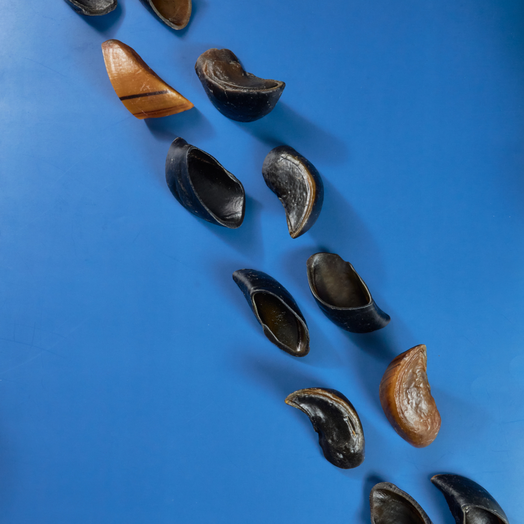 image_6ce2536b-5f92-4cfb-b0a3-42fbafac8ccd