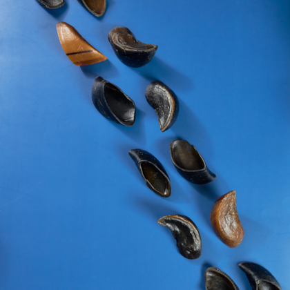 image_e802ba7c-ea7c-4dd0-901b-a88ba4c9c1fd