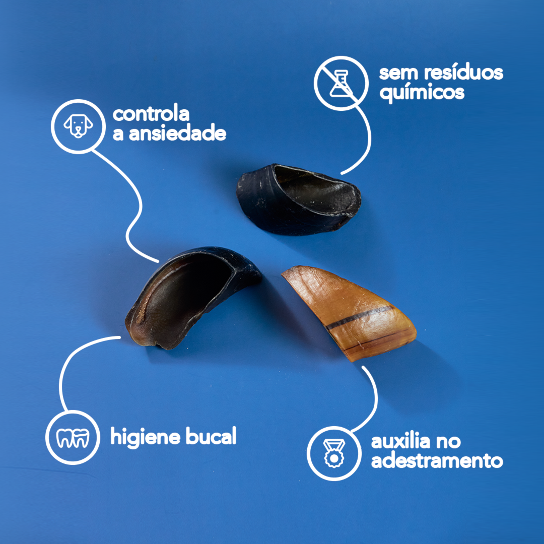 image_d659a50c-128f-4eb7-b42d-67a78a47f992