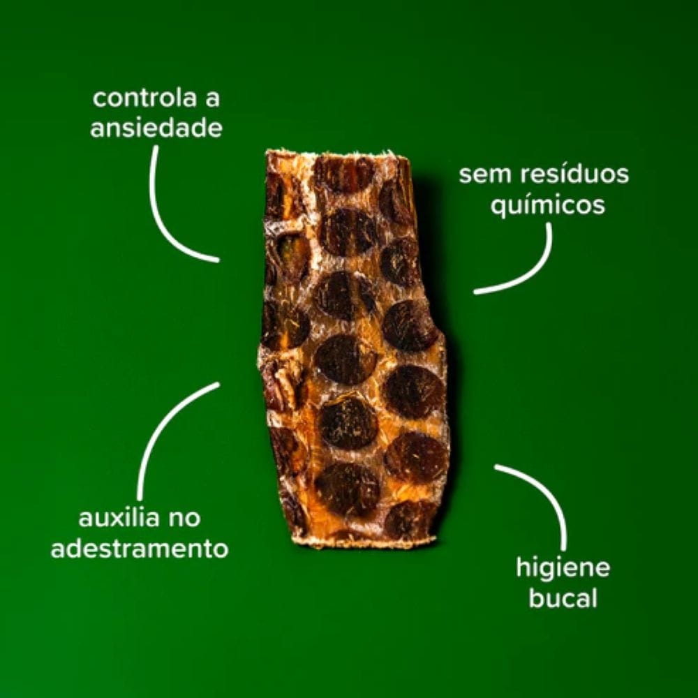 image_24b9a15f-e925-4865-ba97-061bf159ac12