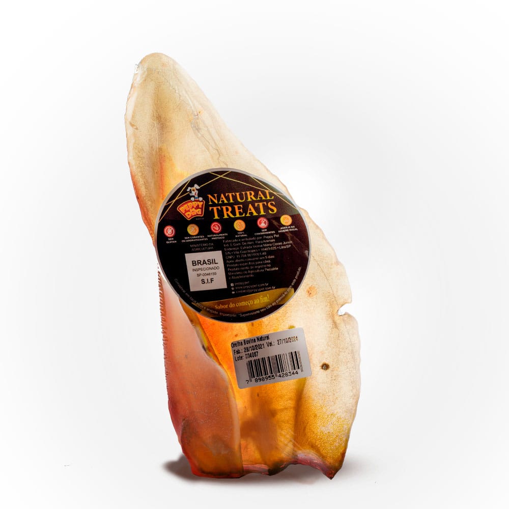 image_ec1bfc69-e2de-4194-9816-567b8489746c