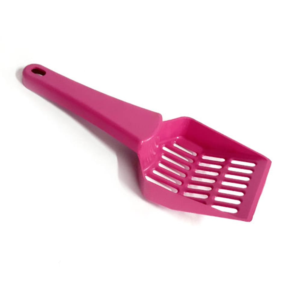 image_b2ffb9e0-f5c4-4f60-968d-45f7727f84cb