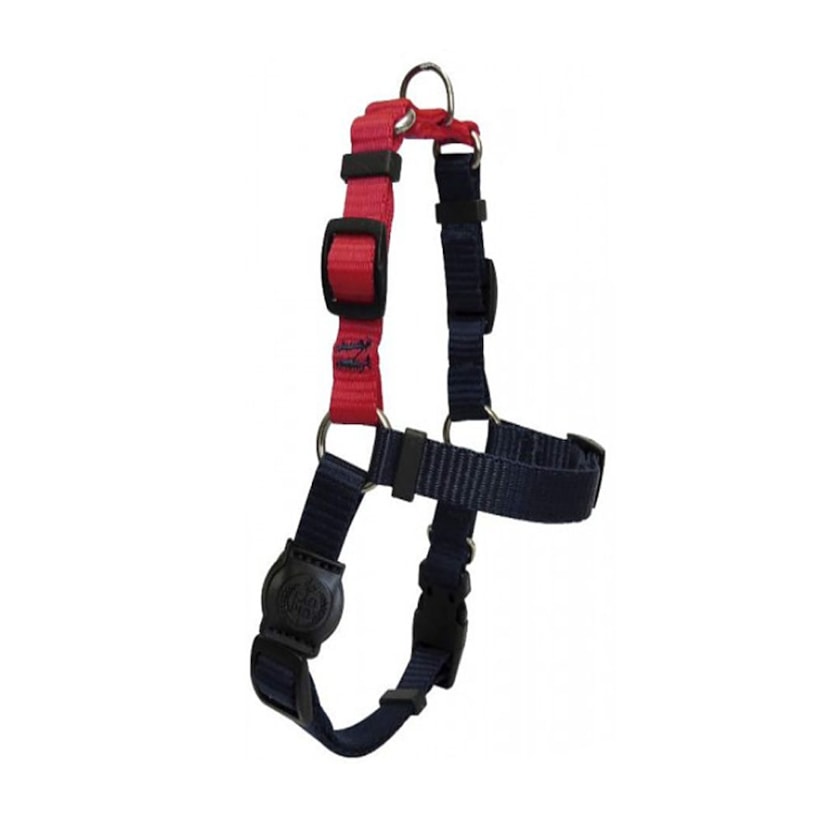 Product main image - 495379e0-b39d-4097-8553-ccad4f3a73dc