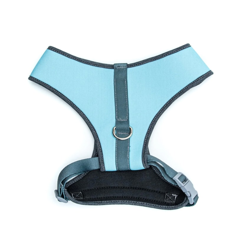 Product main image - 46c7d9a5-a4e7-4798-b9e5-1fc7086e1a83