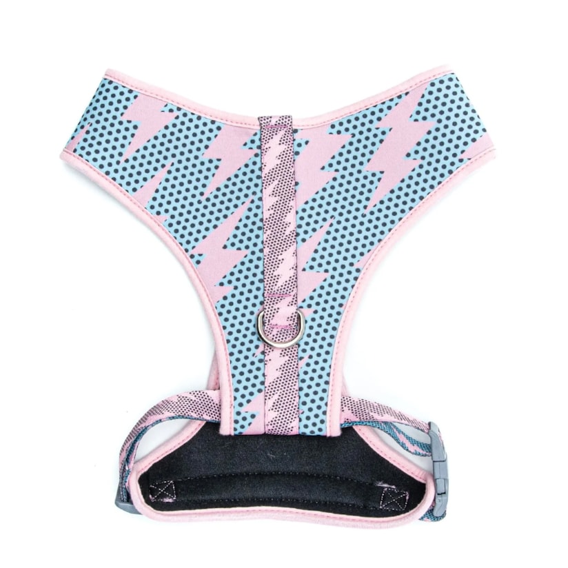 Product main image - 26d90adb-174c-48a1-a82b-ace8d5e8a500