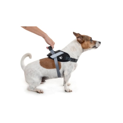 image_afac10c4-802f-43b4-81c1-5c7d315a9669