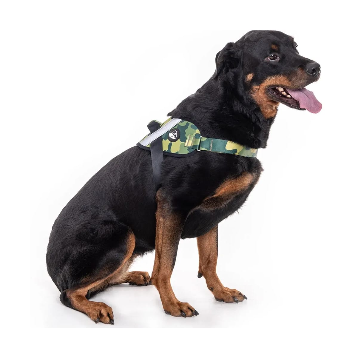 image_1c78fb57-274d-48ea-b6e1-c4af8e3ebfc6