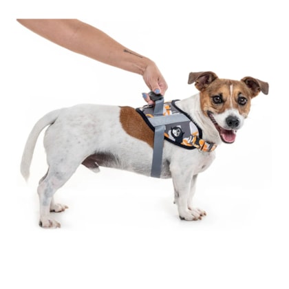 image_5d15f423-8a04-4c33-9fe4-55bd688a56b2