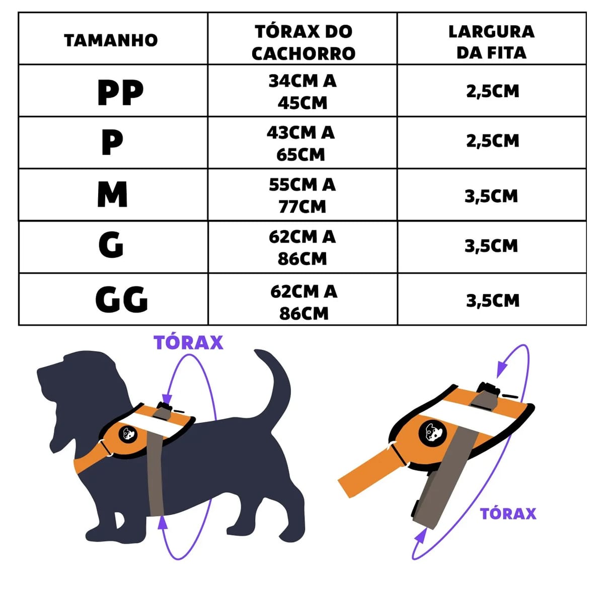 image_be88e835-e0fe-429c-8ac0-657b13cc0139