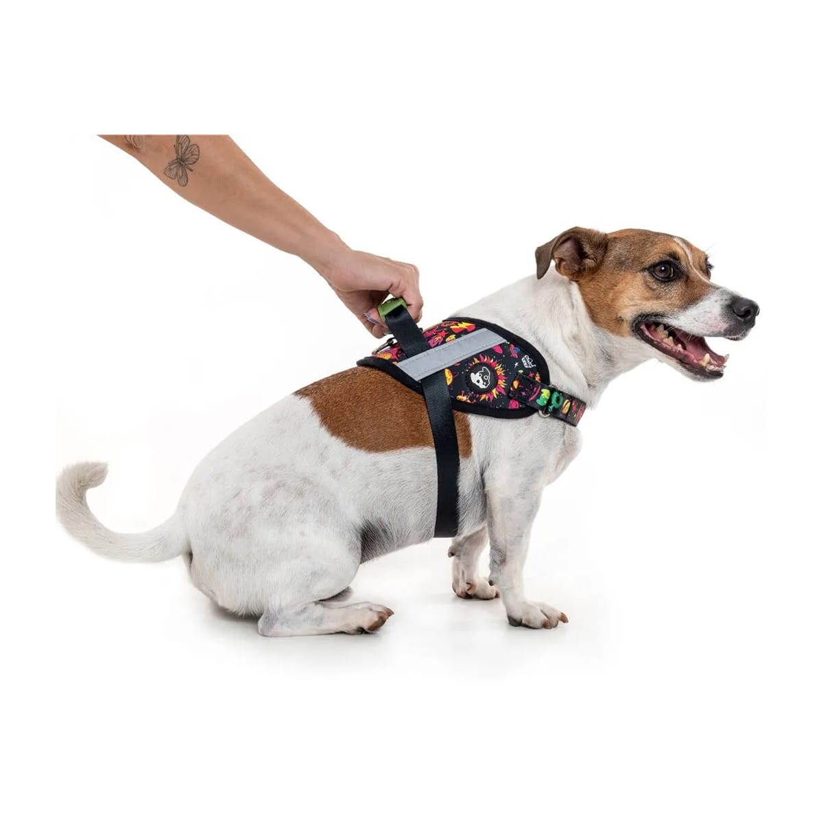 image_cf3404c7-490f-48eb-8c37-da7e91903869