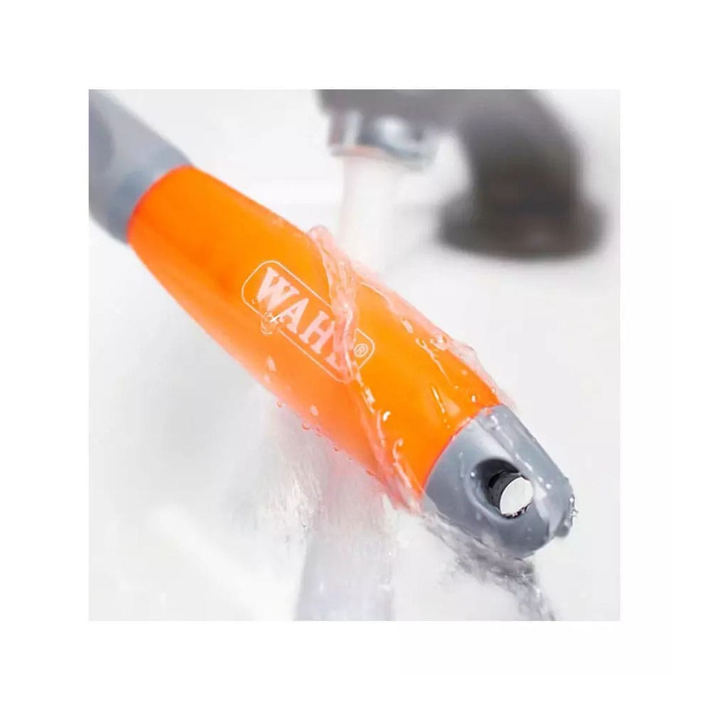 image_e5eadace-e59c-4b50-adde-02e9c5e0cc5f