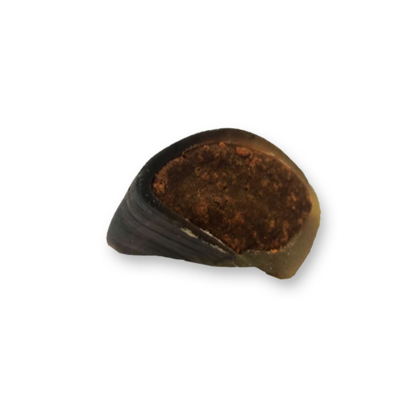 Product main image - d6eada65-1f5f-469e-bdc7-00eca0f6bc68